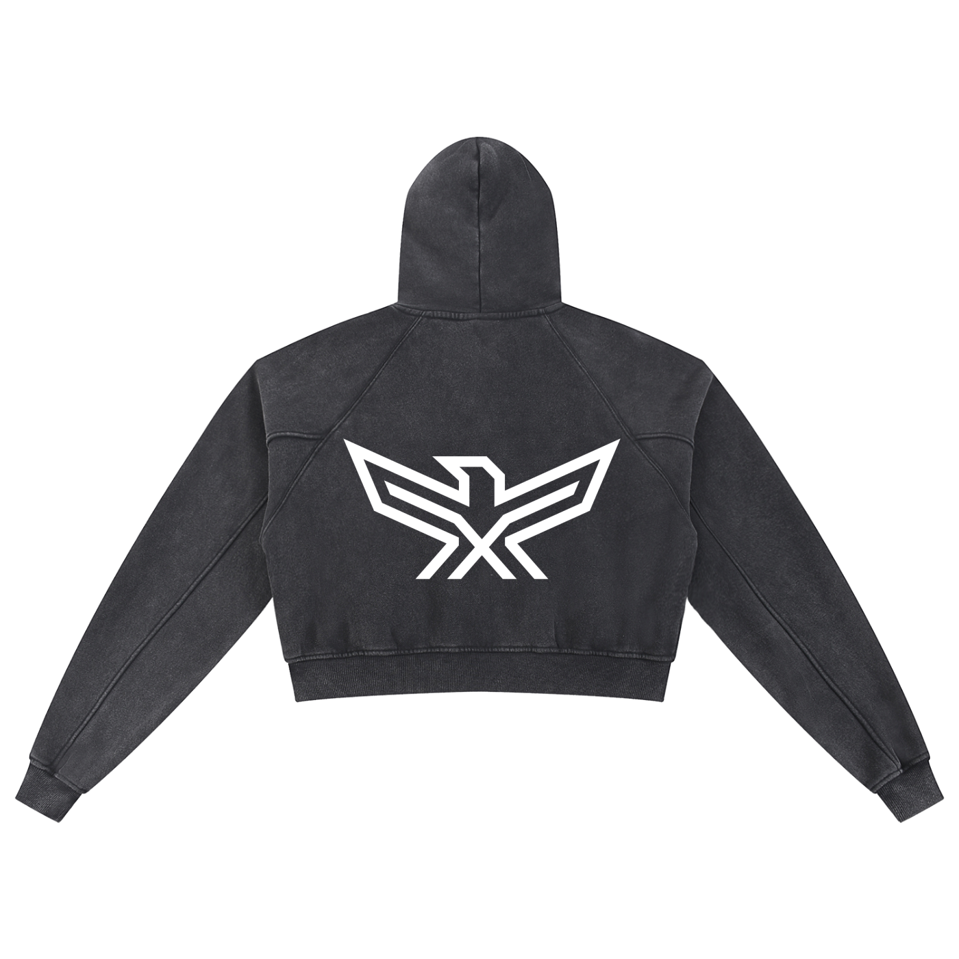 Snow Washed Cropped Hoodie